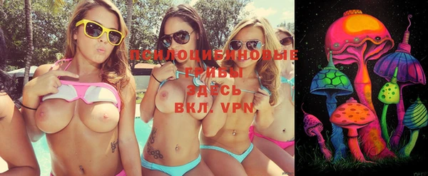 альфа пвп Медвежьегорск